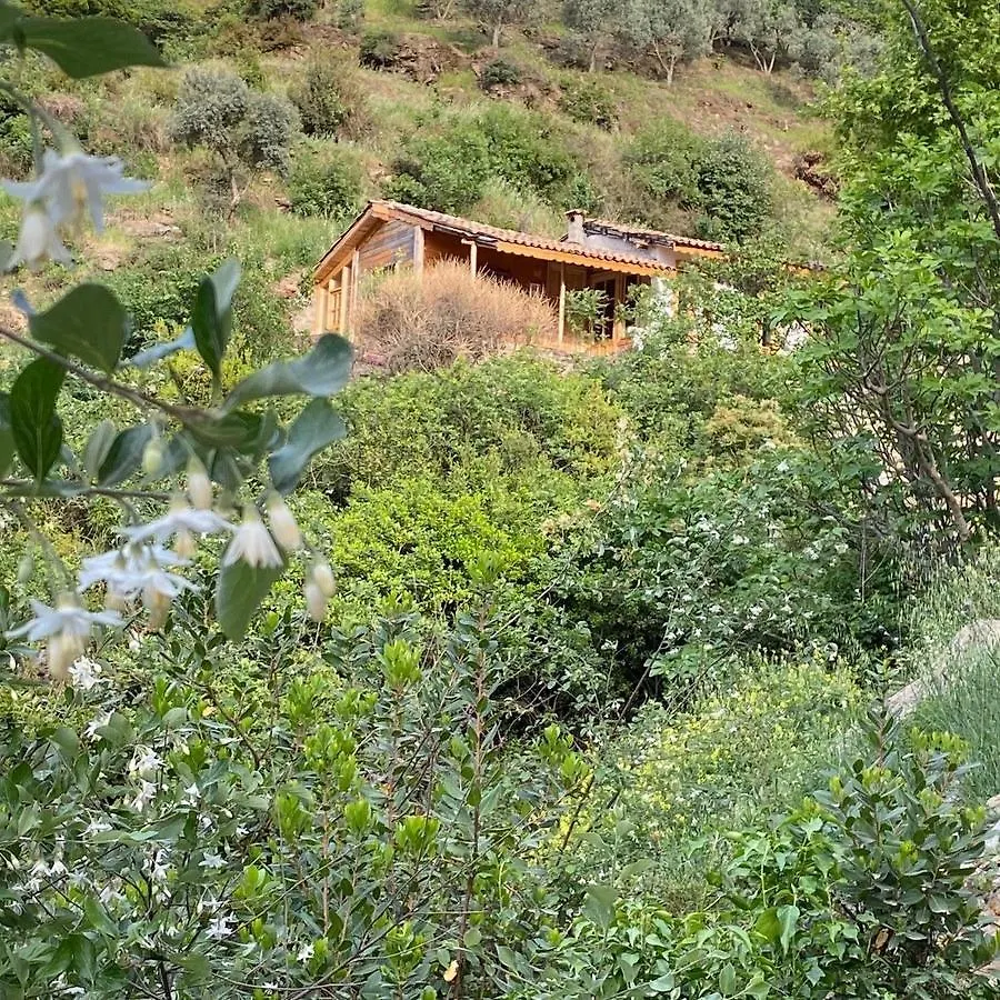 Sirince Magara Deresi Evleri. Villa Selçuk