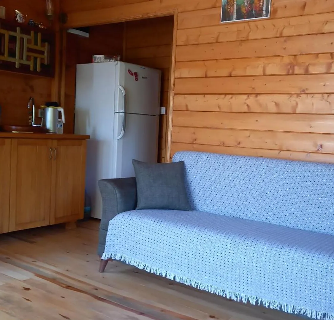 Sirince Magara Deresi Evleri. Villa Selcuk